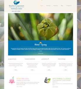 Beaches and Wellness Center website by quantum seo solutions